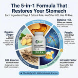 Healthy Gut cápsula junto a un plato proteico ilustrando uso antes de comidas