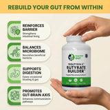 Healthy Gut cápsulas en mano para comparar tamaño y comodidad al tomar