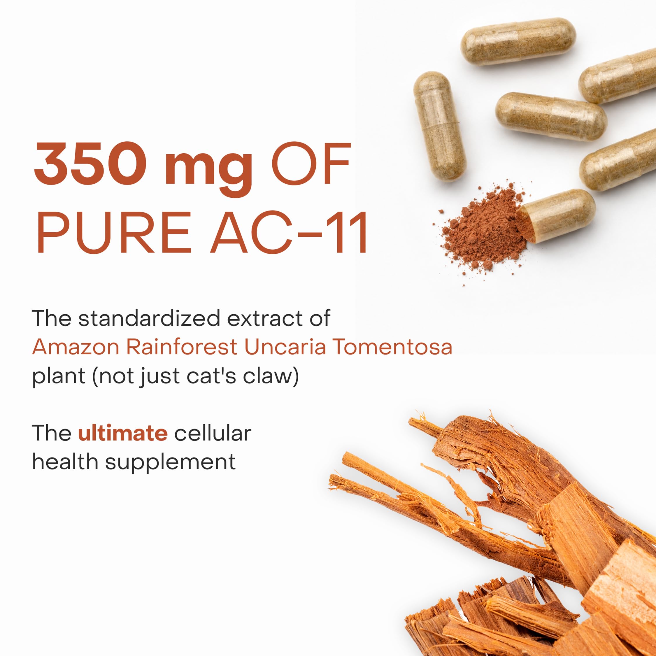 Healthycell AC-11 muestra de corteza interna usada y extracción pura
