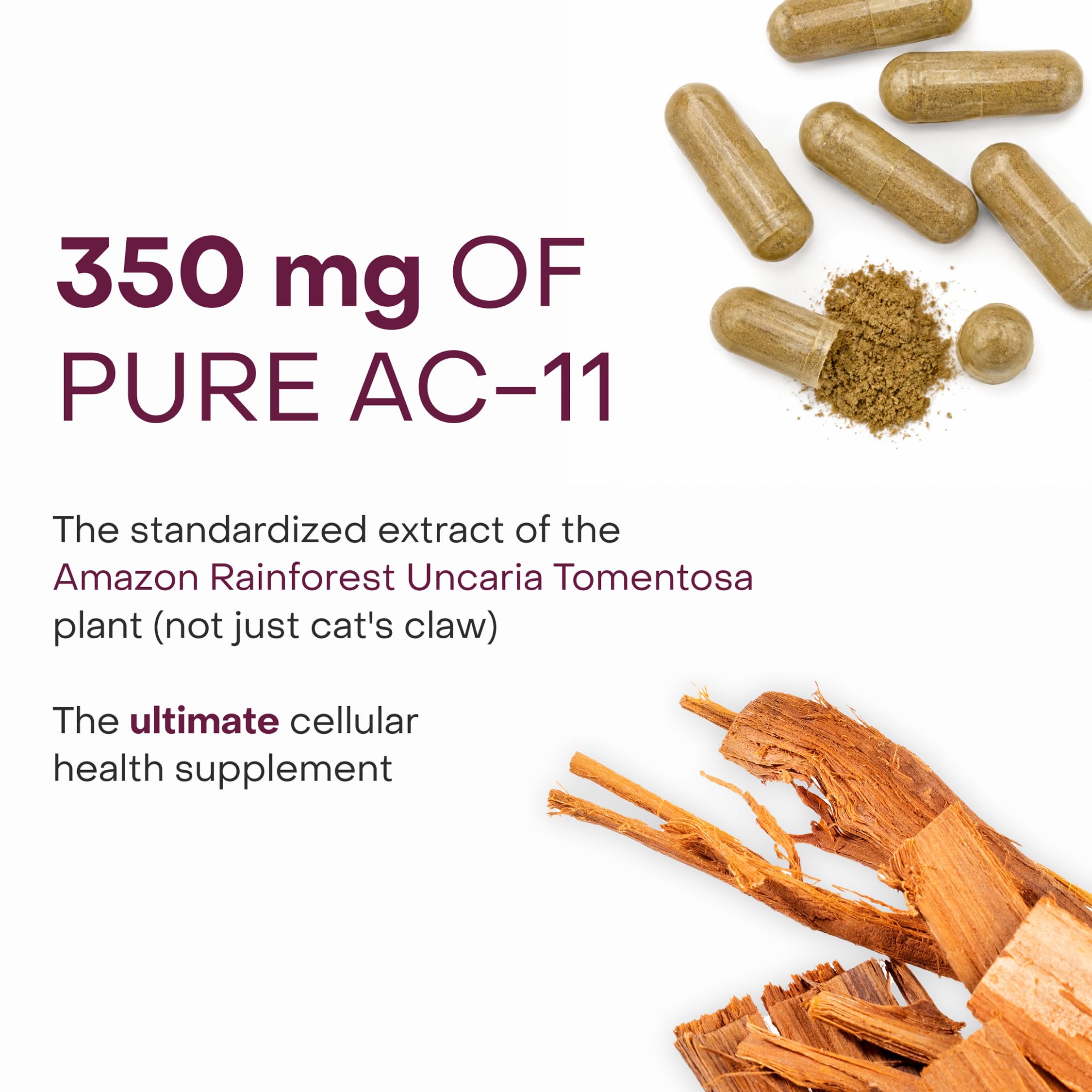 Healthycell detalle de cápsula que resalta ingredientes activos visibles