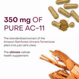 Healthycell detalle de cápsula que resalta ingredientes activos visibles