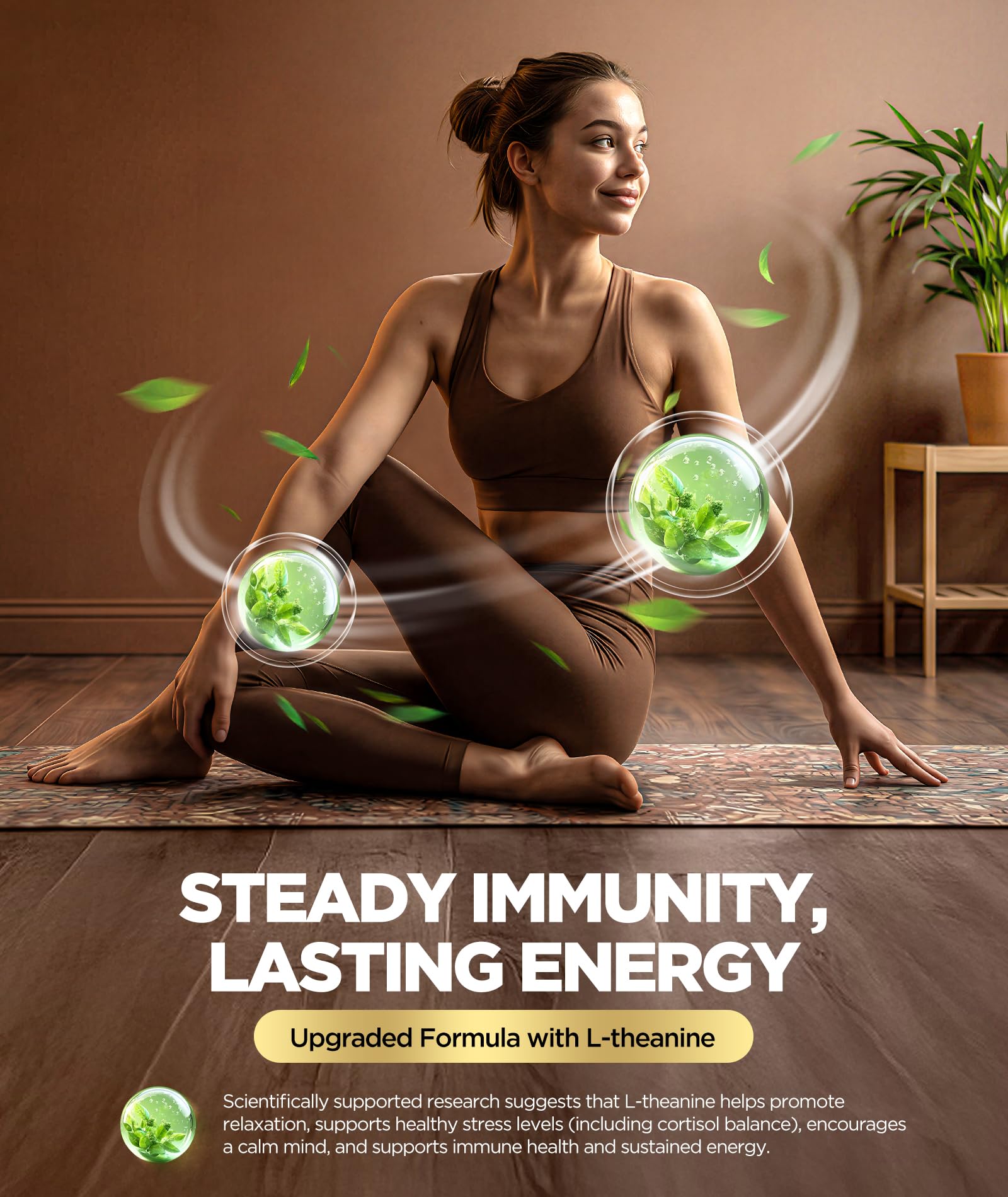 HealthyVi variedad de setas en imagen que ilustra fuente natural de beta-glucanos