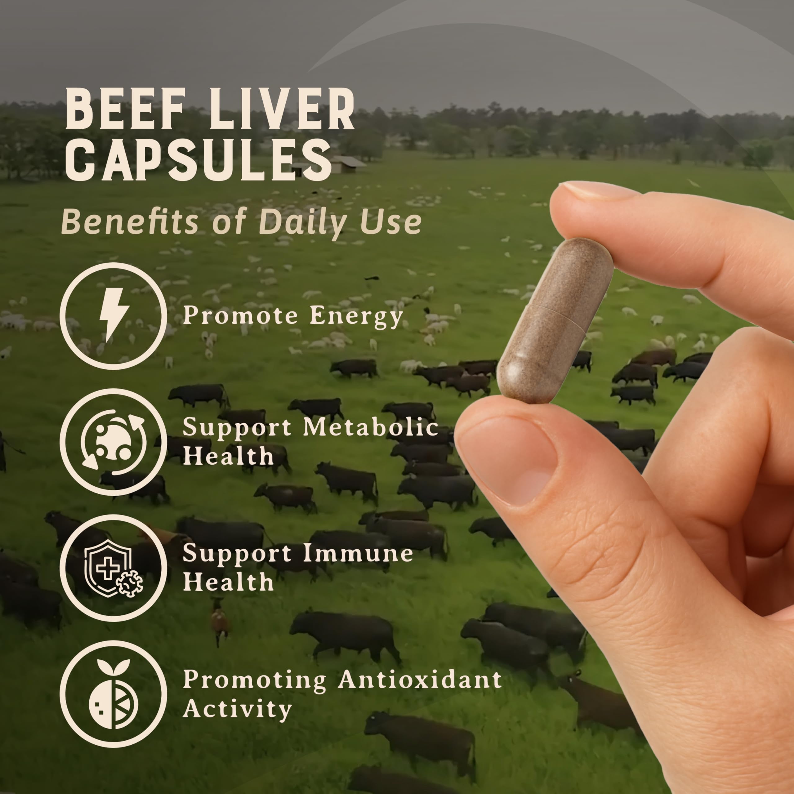 HEART & SOIL cápsula en mano para comparar tamaño y dosificación práctica