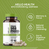 HELLO HEALTH musgo marino y raíz de bardana juntos señalando origen silvestre