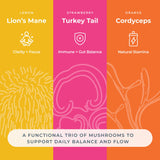 Hemp & Hand gominola en mano ilustrando dosis individual y portabilidad