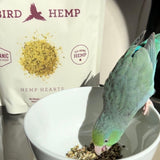 Hemp Well bolsa resellable abierta conservando aceites y frescura