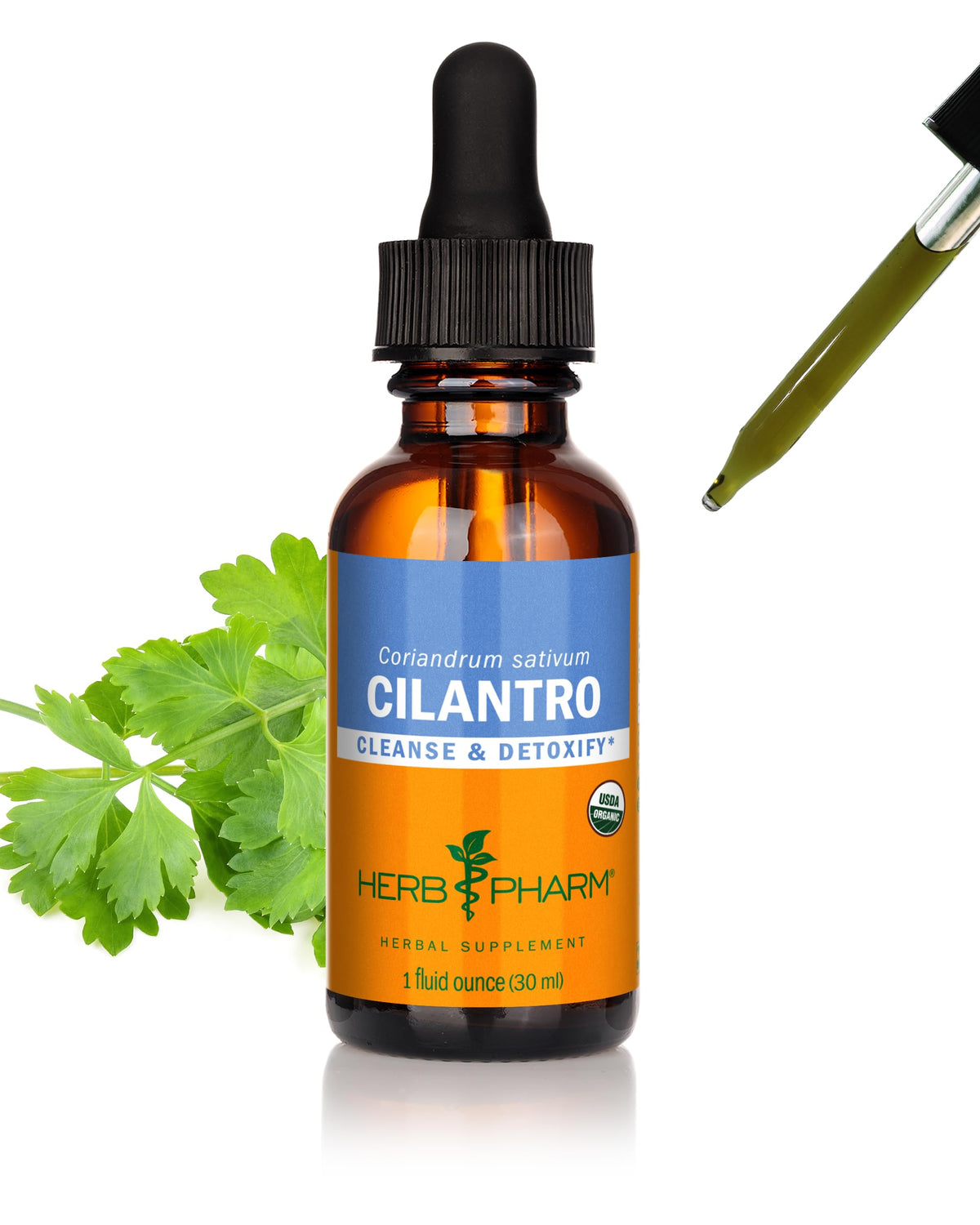 Herb Pharm botella frontal de extracto de cilantro, fácil dosificación