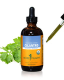 Herb Pharm botella frontal del extracto de cilantro mostrando tamaño y etiqueta clara