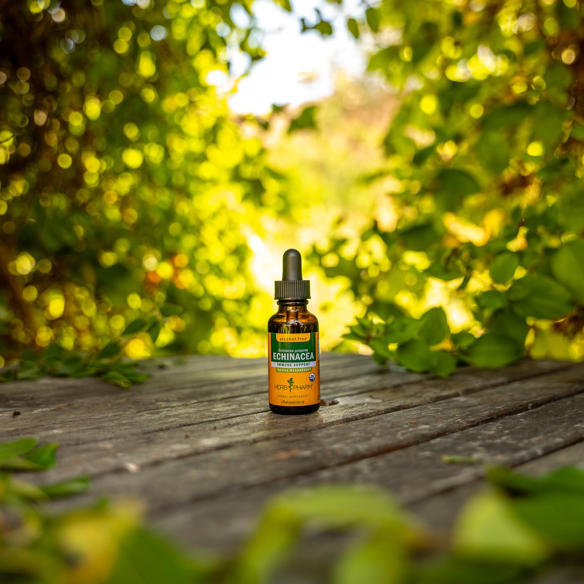 Herb Pharm granja orgánica regenerativa mostrando prácticas sostenibles