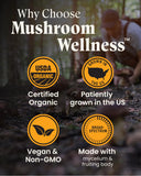 Herb Pharm varios hongos secos usados en la fórmula, transparencia de origen