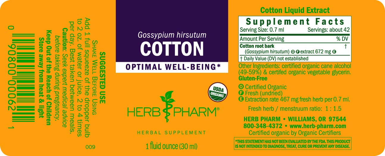 Herb Pharm frasco en mano para comparar tamaño y cantidad del producto