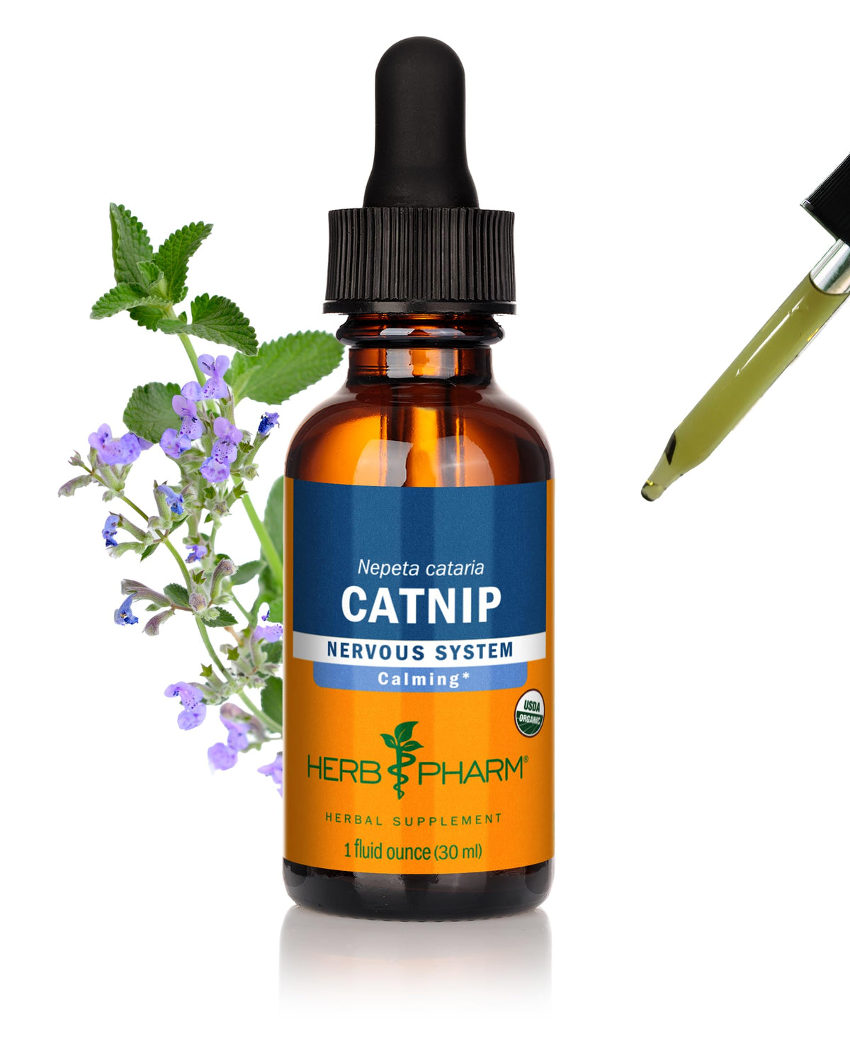 Herb Pharm frasco frontal de Catnip mostrando diseño y tamaño, confianza visual