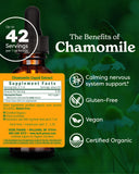 Herb Pharm primer plano de flores de manzanilla y detalle de extracción pura