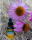 Herb Pharm raíz de Echinacea purpurea foco en origen orgánico