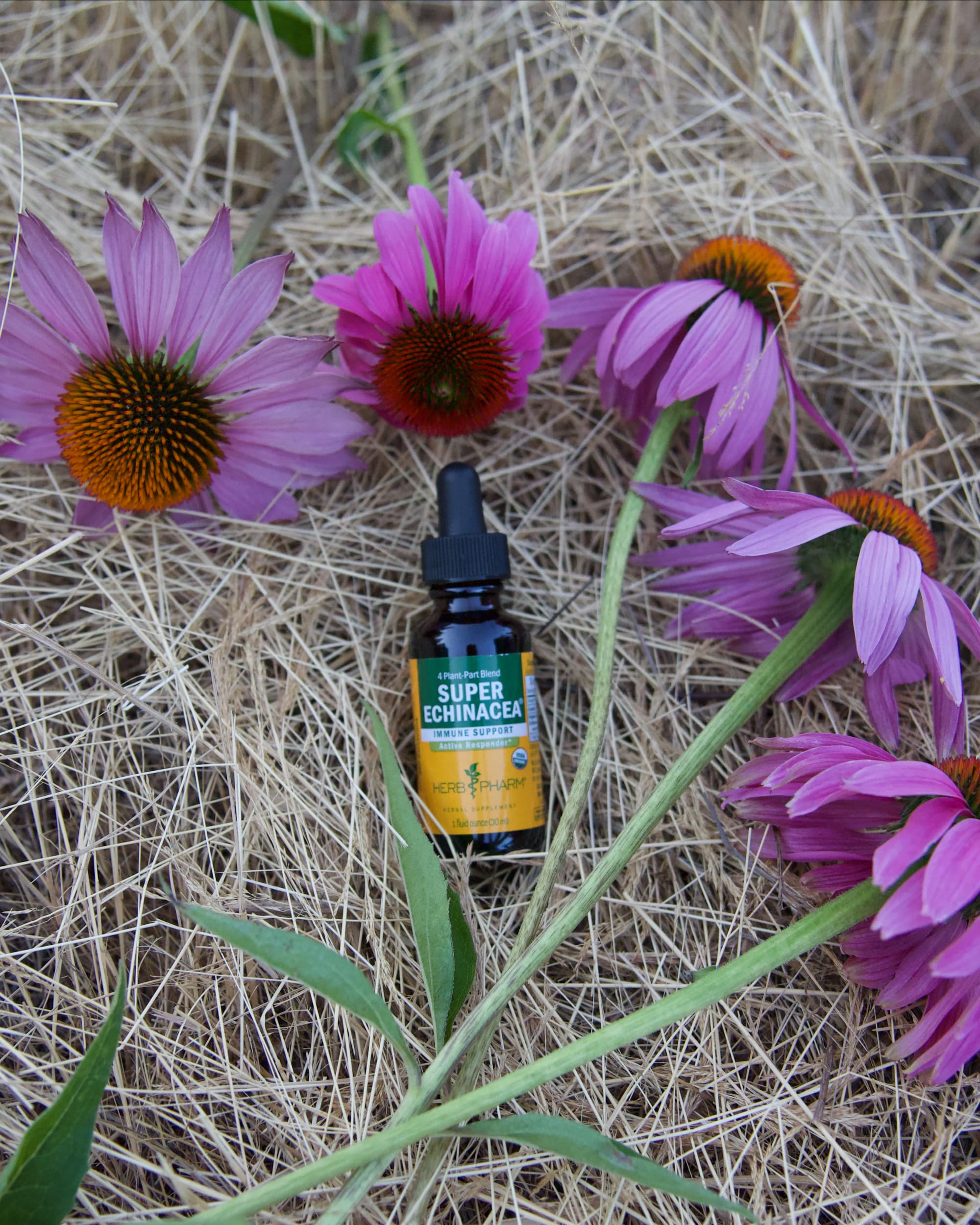 Herb Pharm cultivo orgánico en campo mostrando origen regenerativo de las plantas