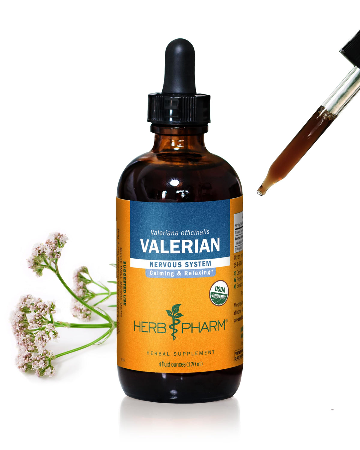 Herb Pharm botella frontal de Valerian mostrando diseño y tamaño práctico