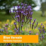 Close-up del frasco Herb Pharm Vervain Azul con textura del líquido y cuentagotas
