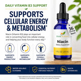 Herb-Science botella de vidrio cobalto protegiendo la fórmula
