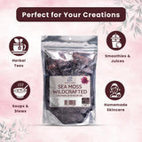 Herb To Body musgo integrado en batido saludable, aporta cuerpo y textura