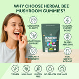 Enfoque de la etiqueta nutricional Herbal Bee para ver información de ingredientes y dosis