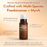 Herbal Mana tamaño comparativo 30 mL frente a objetos cotidianos
