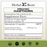 Herbal Roots cápsula en primer plano para ver textura y calidad