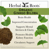 Herbal Roots cápsula en mano para comparar tamaño y facilidad de ingestión