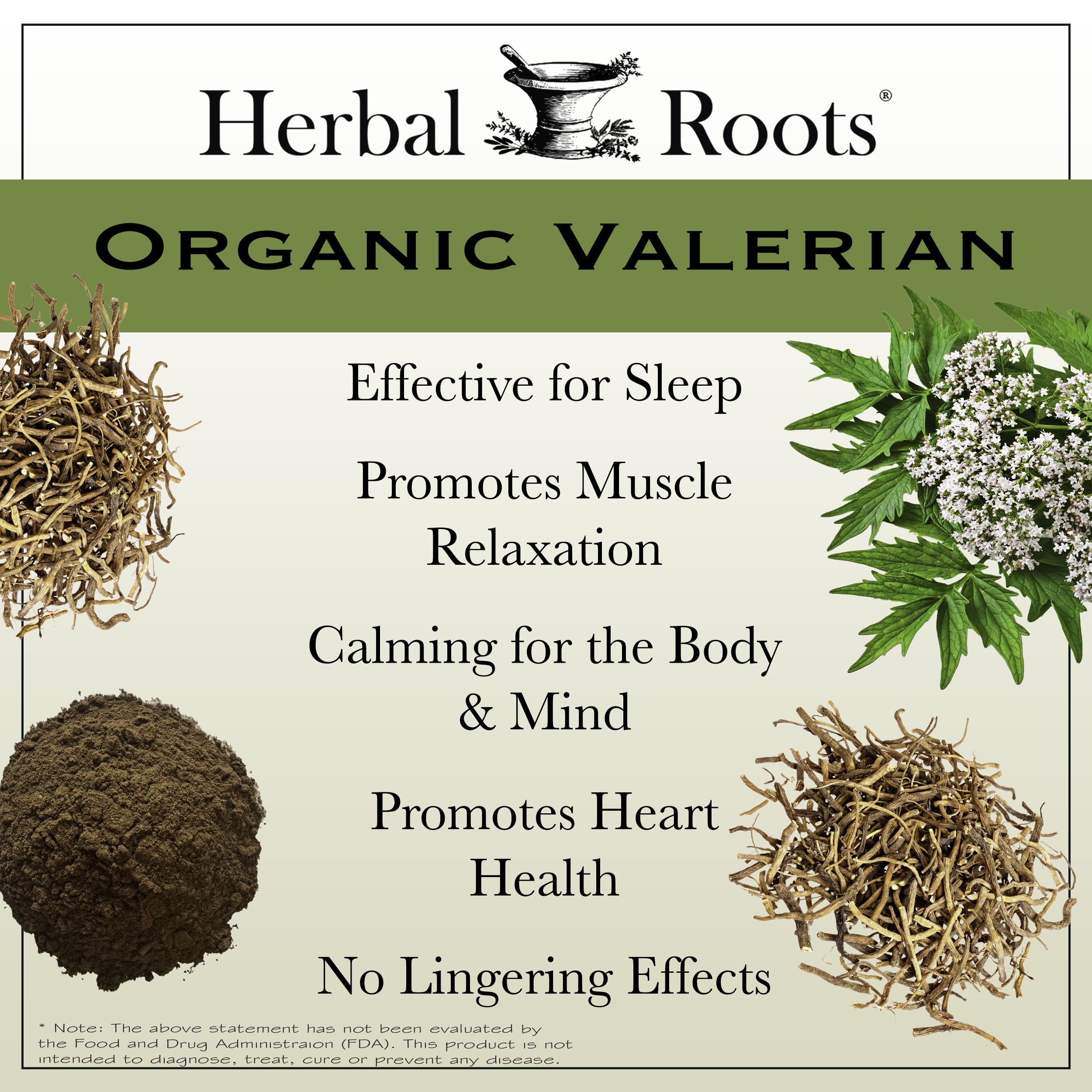 Herbal Roots cápsula en mano para comparar tamaño y facilidad de ingestión