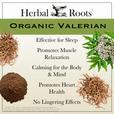 Herbal Roots cápsula en mano para comparar tamaño y facilidad de ingestión