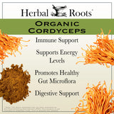 Herbal Roots cápsula en mano demostrando tamaño práctico y fácil ingestión