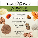 Herbal Roots detalle de cápsula vegetal que evidencia formato vegano