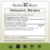 Herbal Roots cápsulas detalle de textura y facilidad de ingestión