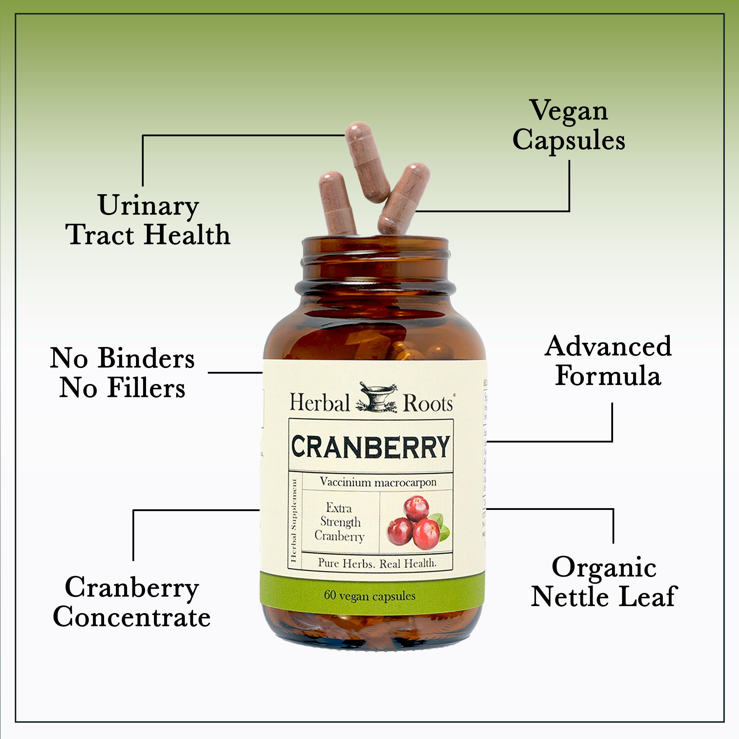 Herbal Roots cápsulas en mano para comparar tamaño y dosificación