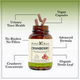 Herbal Roots cápsulas en mano para comparar tamaño y dosificación