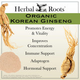 Herbal Roots cápsulas veganas en mano para comparar tamaño práctico