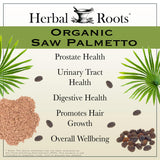 Herbal Roots cápsulas en mano para comparar tamaño y dosificación