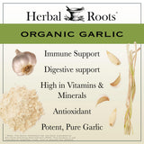 Herbal Roots primer plano del polvo de ajo orgánico mostrando pureza