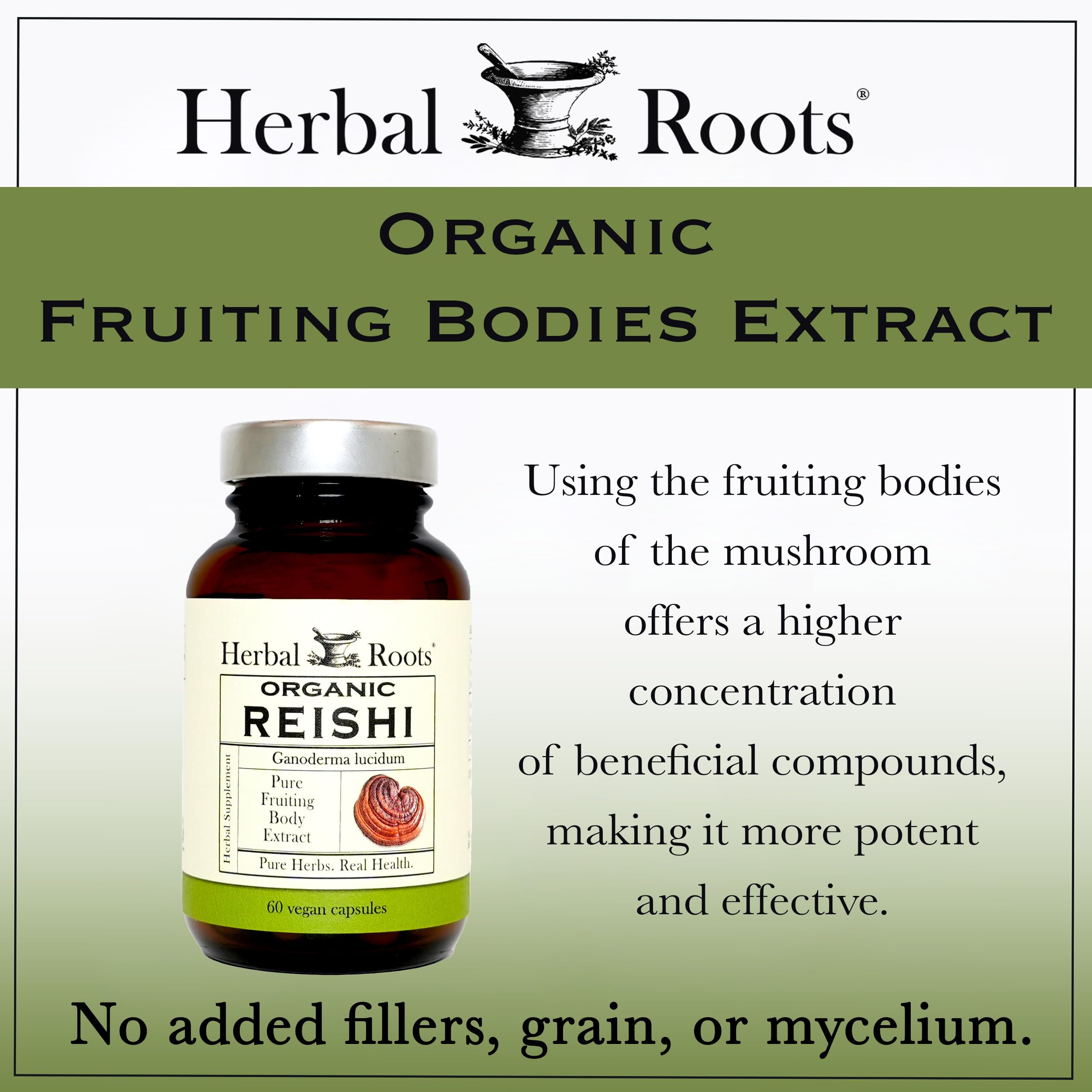 Herbal Roots cápsulas en mano para comparar tamaño y conveniencia