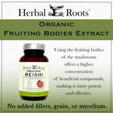 Herbal Roots cápsulas en mano para comparar tamaño y conveniencia