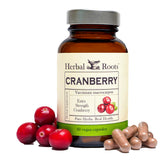 Herbal Roots frasco frontal mostrando 60 cápsulas veganas y beneficios