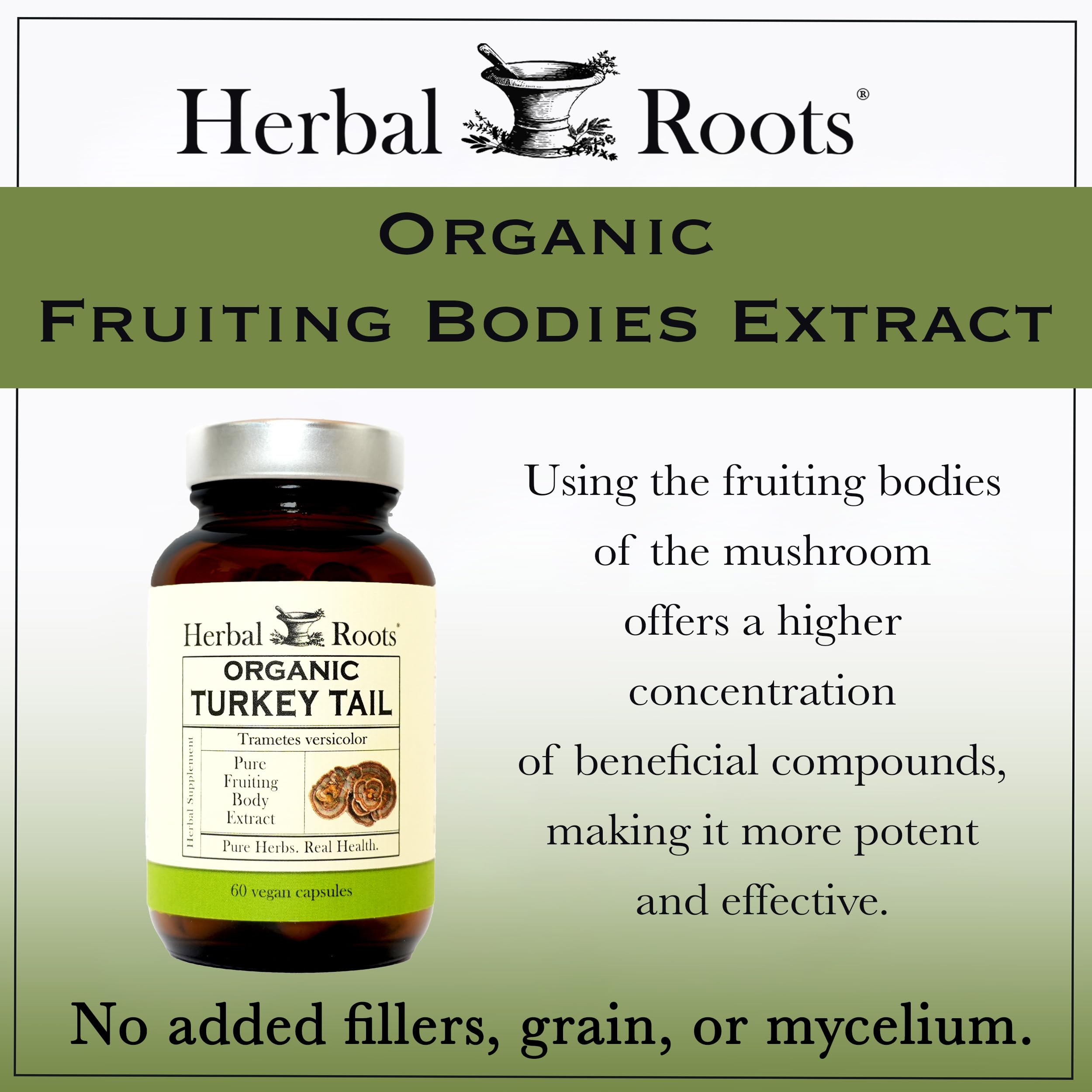Herbal Roots extracto en polvo cercano que muestra pureza y color
