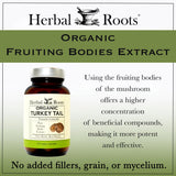 Herbal Roots extracto en polvo cercano que muestra pureza y color