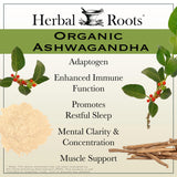 Herbal Roots textura de cápsula vegana resaltando pureza del producto