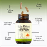 Herbal Roots textura del extracto mostrando pureza y aspecto natural