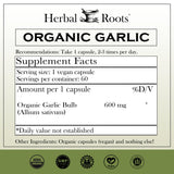 Herbal Roots mano sosteniendo cápsula vegana para uso rápido