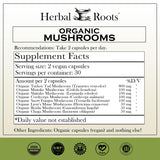 Herbal Roots textura del polvo de extracto para percepción de pureza