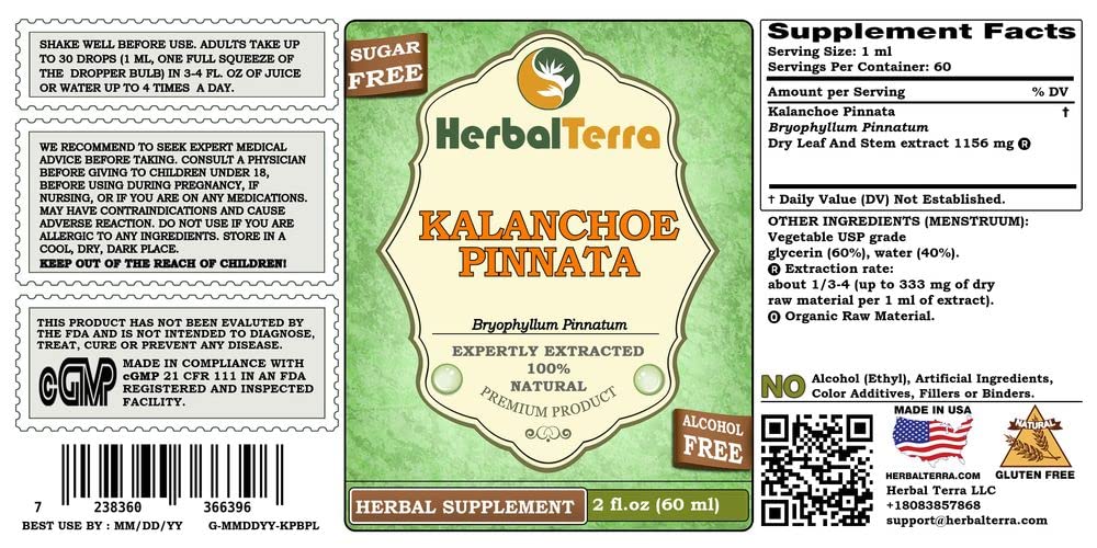 Herbal Terra etiqueta en primer plano destacando ingredientes naturales y sin alcohol