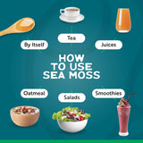Herbal Vineyards batido con sea moss, aporta untuosidad natural