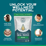 Herbal Vineyards primer plano textura del sea moss, fácil de hidratar