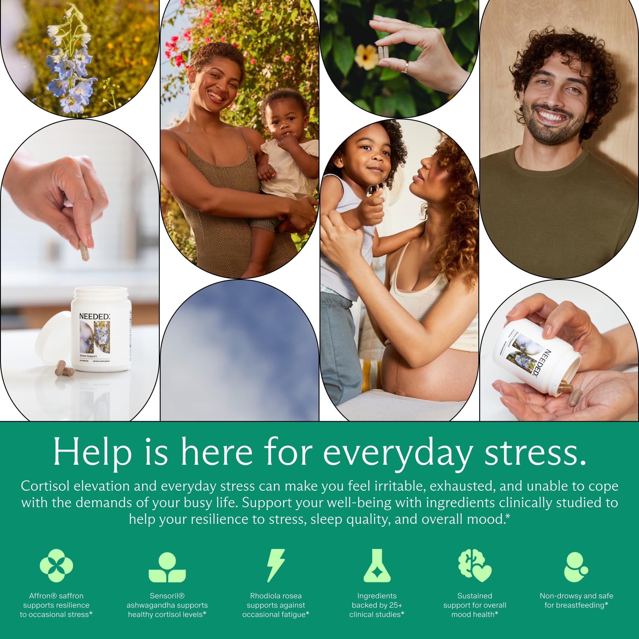 Ingredientes botánicos de Herbaluxe dispuestos para ilustrar la formulación